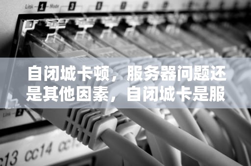 自闭城卡顿，服务器问题还是其他因素，自闭城卡是服务器问题吗