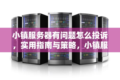 小镇服务器有问题怎么投诉，实用指南与策略，小镇服务器有问题怎么投诉商家