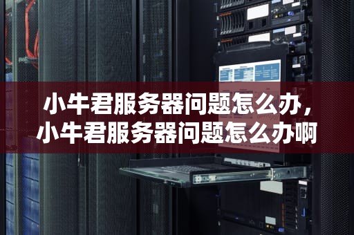 小牛君服务器问题怎么办，小牛君服务器问题怎么办啊