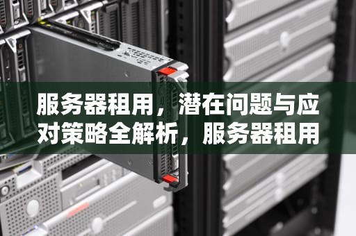 服务器租用，潜在问题与应对策略全解析，服务器租用有什么问题吗知乎