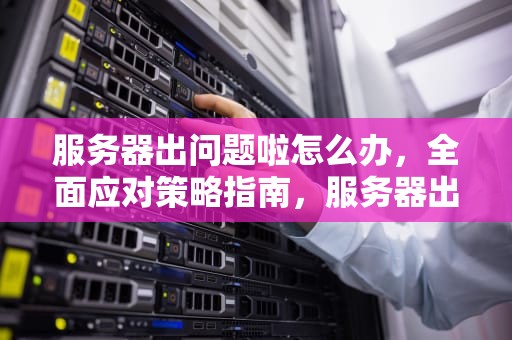 服务器出问题啦怎么办，全面应对策略指南，服务器出问题啦怎么办啊