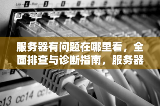 服务器有问题在哪里看，全面排查与诊断指南，服务器有问题怎么办?