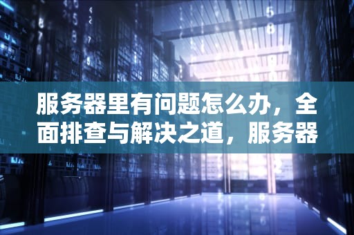 服务器里有问题怎么办，全面排查与解决之道，服务器里有问题怎么办啊