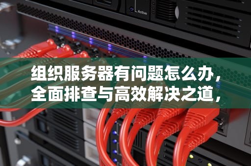 组织服务器有问题怎么办，全面排查与高效解决之道，组织服务器有问题怎么办啊