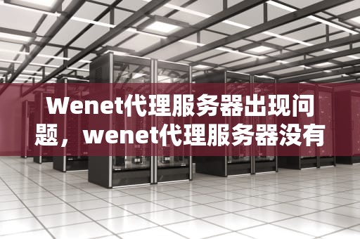 Wenet代理服务器出现问题，wenet代理服务器没有响应