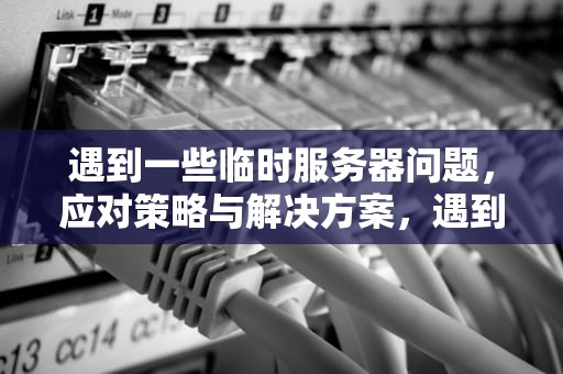 遇到一些临时服务器问题，应对策略与解决方案，遇到一些临时服务器问题怎么办