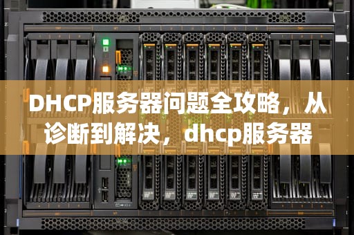 DHCP服务器问题全攻略，从诊断到解决，dhcp服务器有问题怎么办解决