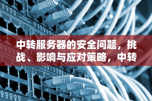中转服务器的安全问题，挑战、影响与应对策略，中转服务器的安全问题有哪些