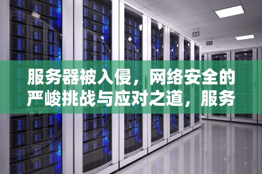 服务器被入侵，网络安全的严峻挑战与应对之道，服务器被入侵是什么问题啊
