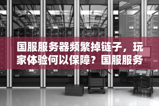 国服服务器频繁掉链子，玩家体验何以保障？国服服务器频繁出现问题怎么解决