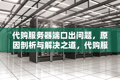 代购服务器端口出问题，原因剖析与解决之道，代购服务器端口出问题怎么办
