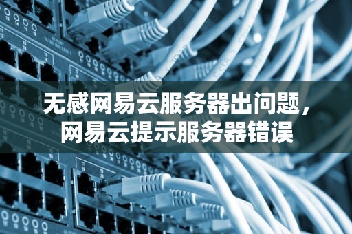 无感网易云服务器出问题，网易云提示服务器错误