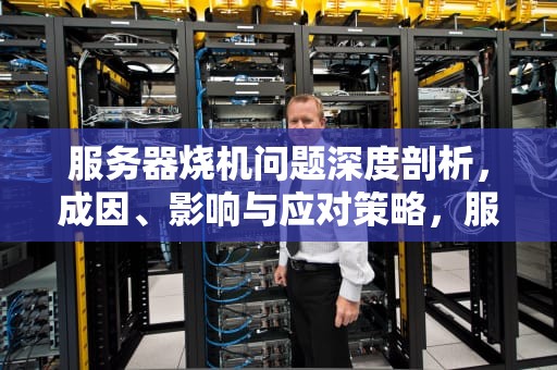 服务器烧机问题深度剖析，成因、影响与应对策略，服务器烧机是什么问题啊