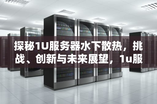 探秘1U服务器水下散热，挑战、创新与未来展望，1u服务器水冷