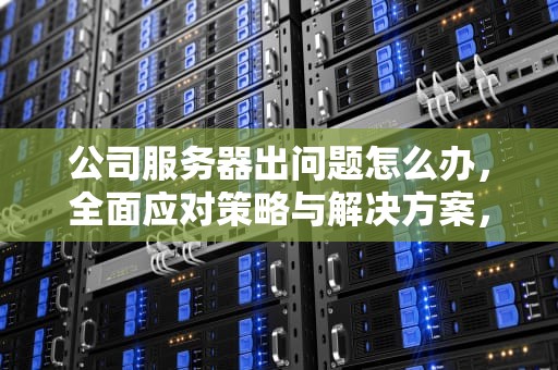 公司服务器出问题怎么办，全面应对策略与解决方案，公司服务器出问题怎么办啊