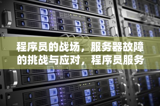 程序员的战场，服务器故障的挑战与应对，程序员服务器出现问题怎么解决