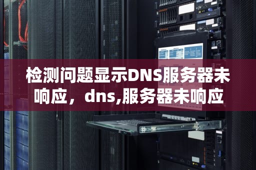 检测问题显示DNS服务器未响应，dns,服务器未响应