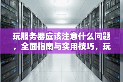 玩服务器应该注意什么问题，全面指南与实用技巧，玩服务器应该注意什么问题呢