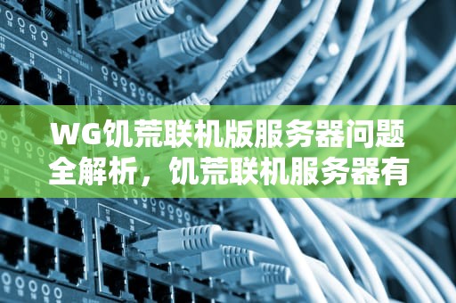WG饥荒联机版服务器问题全解析，饥荒联机服务器有点问题