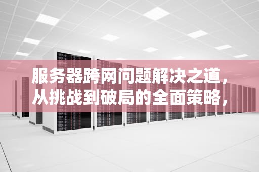 服务器跨网问题解决之道，从挑战到破局的全面策略，服务器跨网问题如何解决的