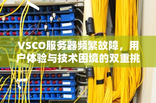 VSCO服务器频繁故障，用户体验与技术困境的双重挑战，vsco服务器出错怎么办