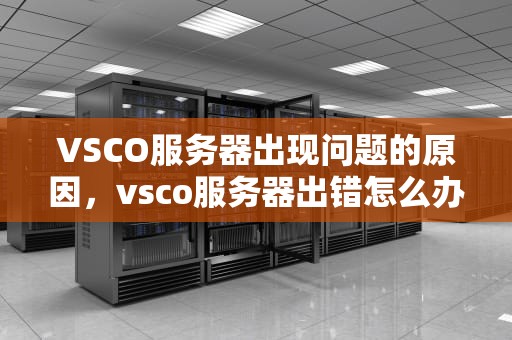 VSCO服务器出现问题的原因，vsco服务器出错怎么办