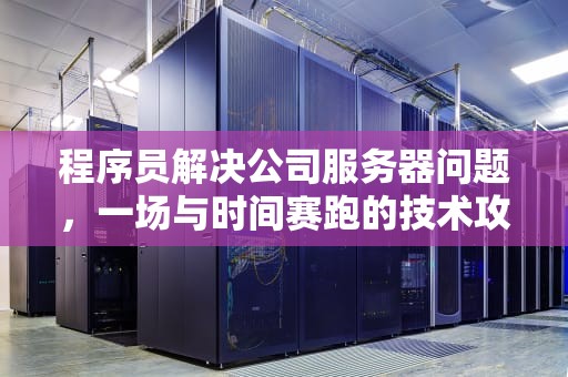 程序员解决公司服务器问题，一场与时间赛跑的技术攻坚战，程序员解决公司服务器问题的方法