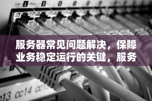 服务器常见问题解决，保障业务稳定运行的关键，服务器常见问题解决方案