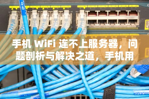 手机 WiFi 连不上服务器，问题剖析与解决之道，手机用wifi连不上服务器啥问题呀