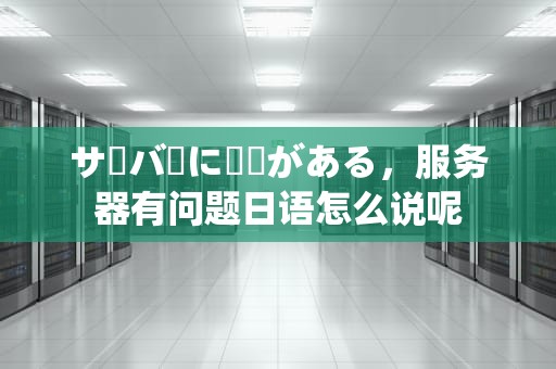 サーバーに問題がある，服务器有问题日语怎么说呢