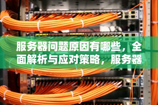 服务器问题原因有哪些，全面解析与应对策略，服务器问题原因有哪些方面