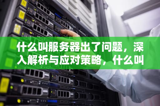 什么叫服务器出了问题，深入解析与应对策略，什么叫服务器出了问题呢