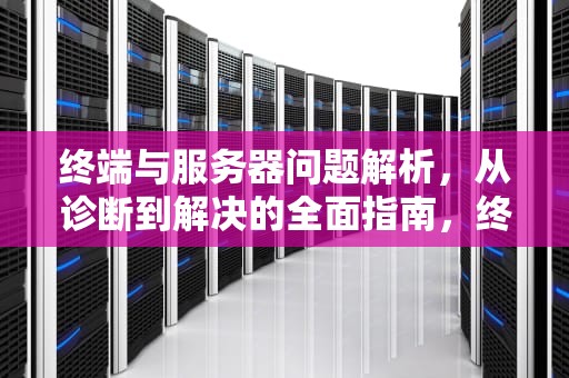 终端与服务器问题解析，从诊断到解决的全面指南，终端跟服务器有问题怎么处理