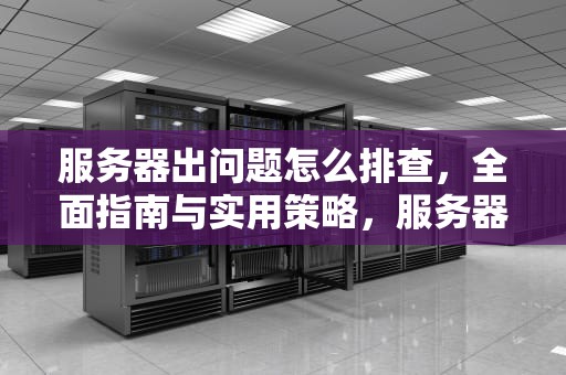 服务器出问题怎么排查，全面指南与实用策略，服务器出问题怎么排查故障