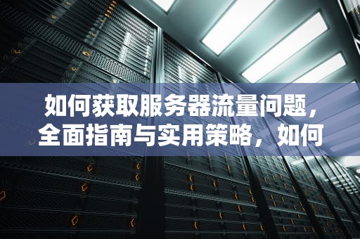 如何获取服务器流量问题，全面指南与实用策略，如何获取服务器流量问题信息