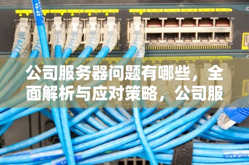 公司服务器问题有哪些，全面解析与应对策略，公司服务器问题有哪些方面