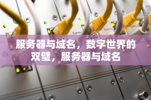 服务器与域名，数字世界的双璧，服务器与域名