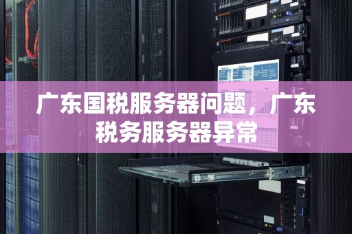 广东国税服务器问题，广东税务服务器异常