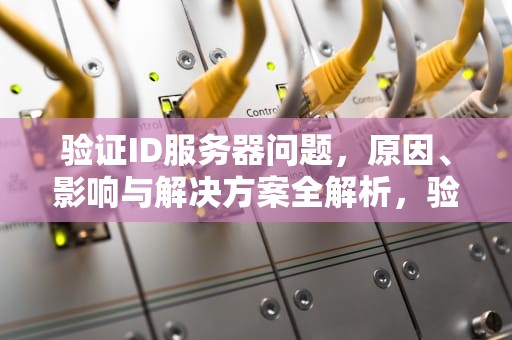 验证ID服务器问题，原因、影响与解决方案全解析，验证id服务器有问题怎么办