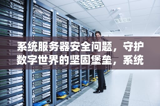 系统服务器安全问题，守护数字世界的坚固堡垒，系统服务器安全问题怎么解决