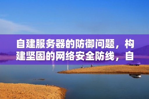 自建服务器的防御问题，构建坚固的网络安全防线，自建服务器的防御问题有哪些