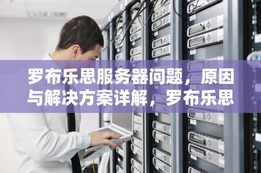 罗布乐思服务器问题，原因与解决方案详解，罗布乐思服务器进不去