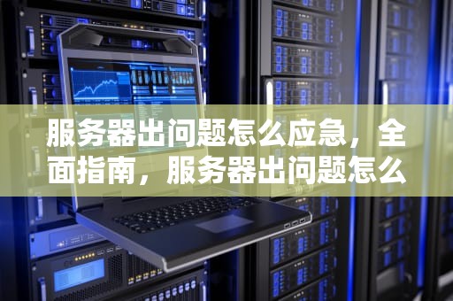 服务器出问题怎么应急，全面指南，服务器出问题怎么应急处理