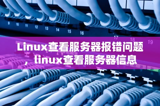 Linux查看服务器报错问题，linux查看服务器信息