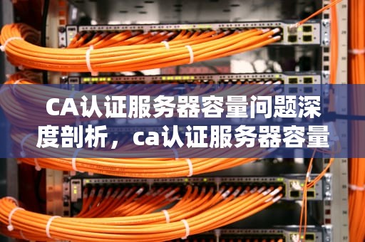 CA认证服务器容量问题深度剖析，ca认证服务器容量问题有哪些