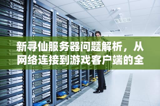 新寻仙服务器问题解析，从网络连接到游戏客户端的全面排查，新寻仙服务器问题大吗