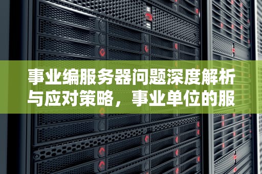 事业编服务器问题深度解析与应对策略，事业单位的服务器