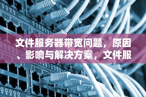 文件服务器带宽问题，原因、影响与解决方案，文件服务器带宽问题怎么解决