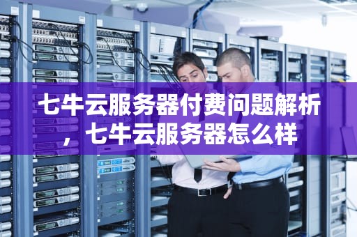 七牛云服务器付费问题解析，七牛云服务器怎么样