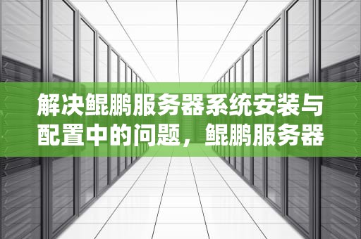 解决鲲鹏服务器系统安装与配置中的问题，鲲鹏服务器系统